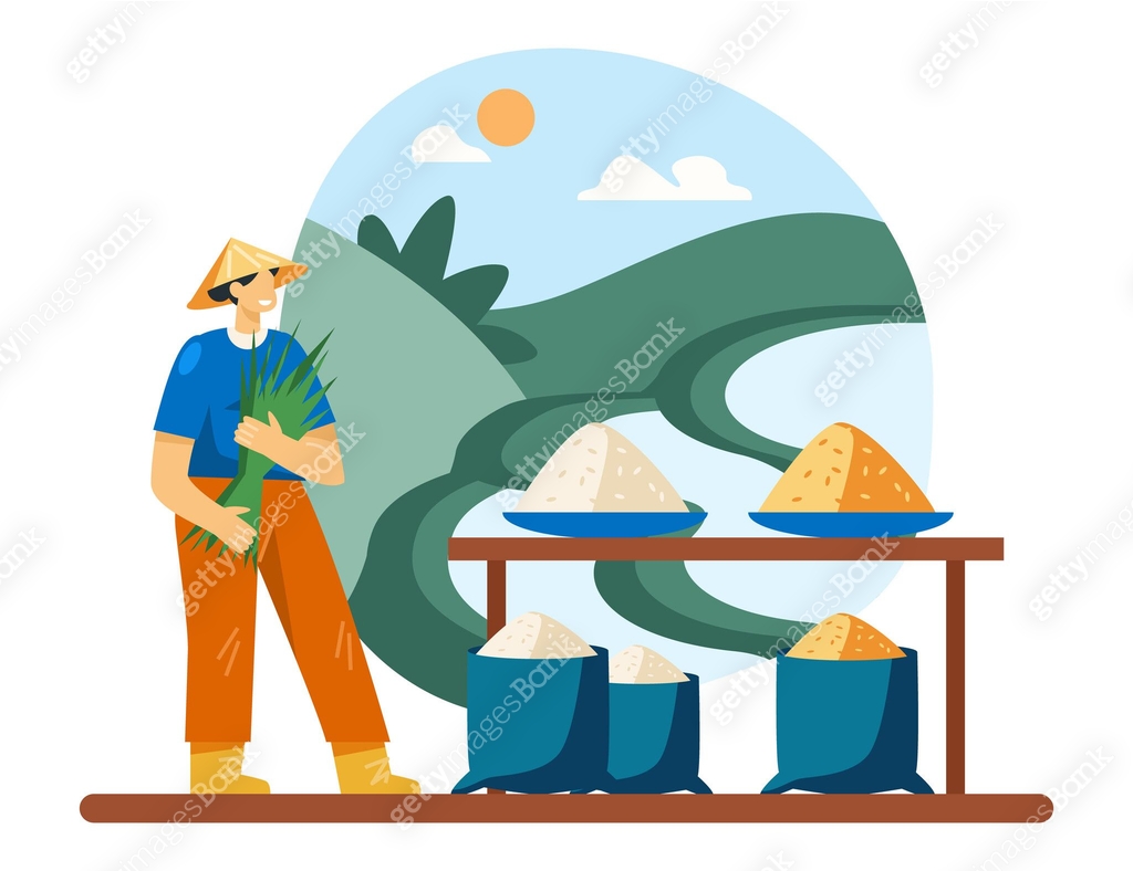 Strong Base Rice Table Female standing near table with rice of different varieties. Rice ...