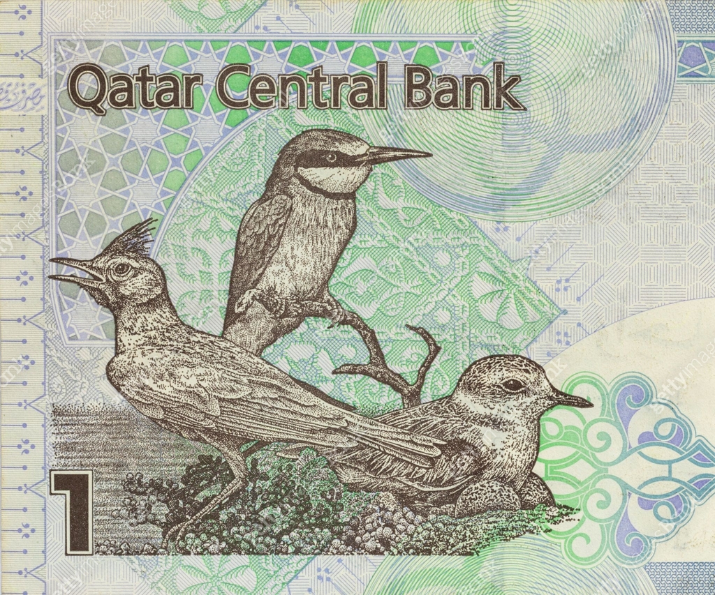 Portrait of birds and nature scene from Qatar 1 riyal banknote 이미지 ...
