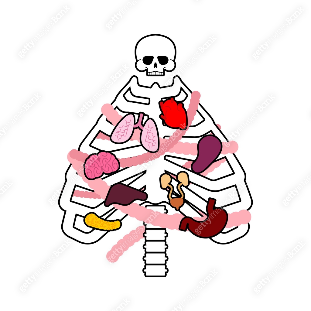 Christmas tree skeleton. ribcage christmas tree. Anatomical new year ...