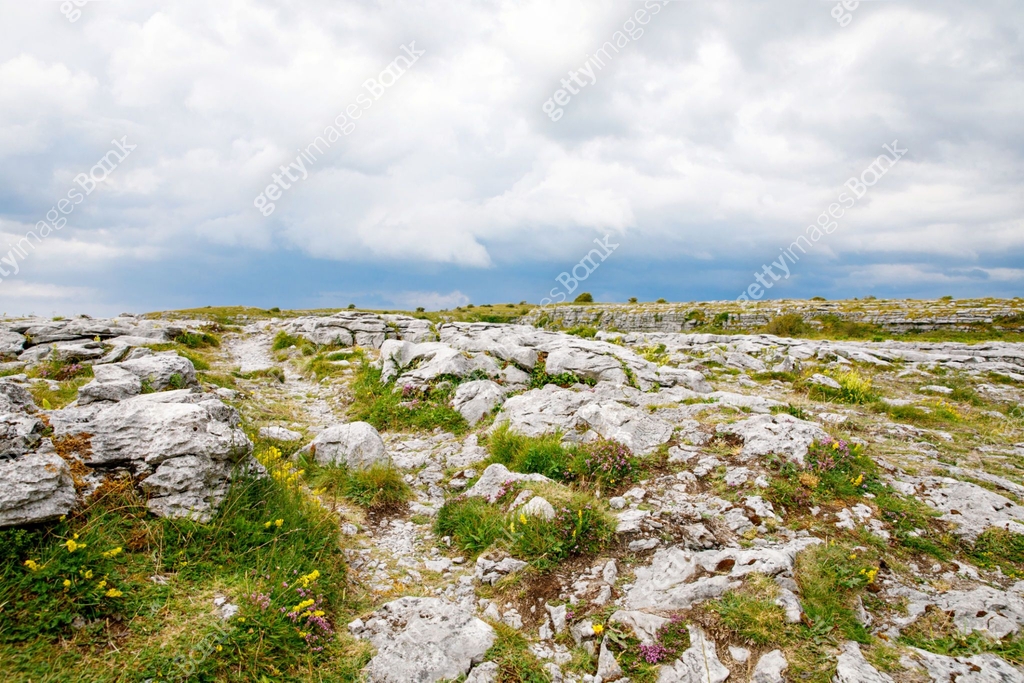 Burren National Park In Ireland County Clare Rough Irish Nature burren-national-park-in-ireland-county-clare-rough-irish-nature