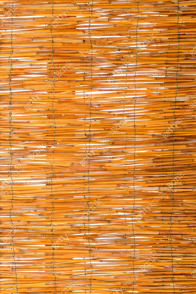 Drying Reeds Thatch The texture of the dry reeds. Yellow reeds. A fence made of reeds. The ...