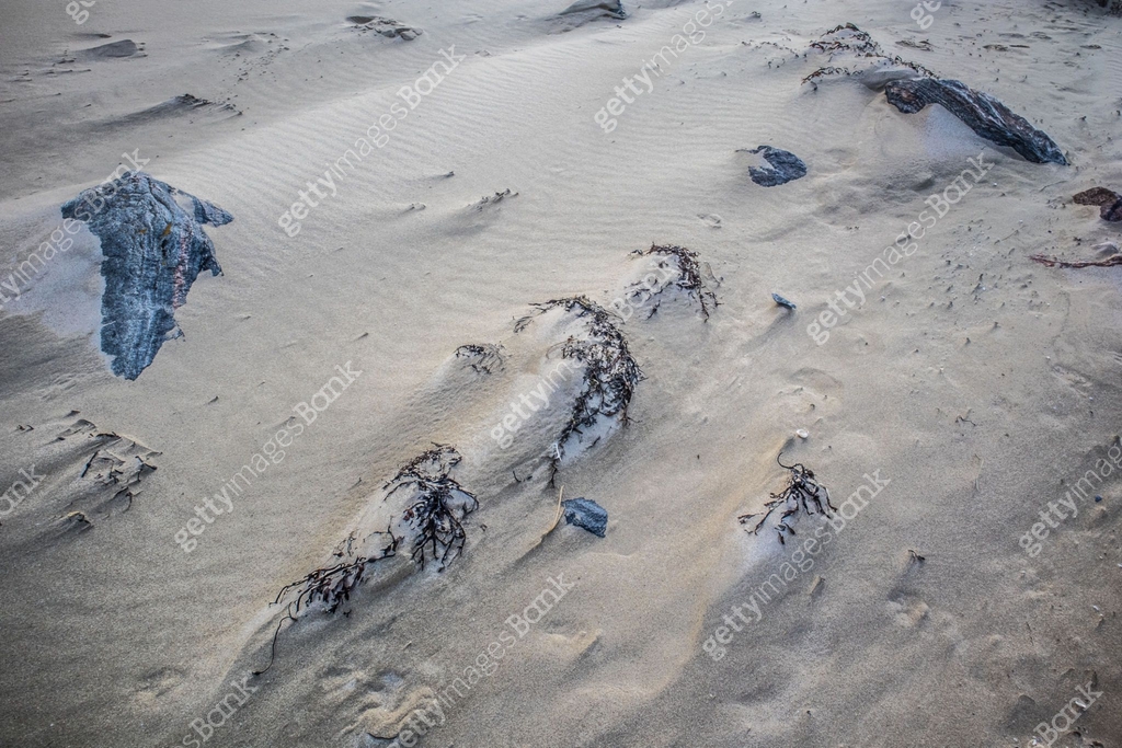 Lewis Rocks Close up of rocks and seaweed on sandy beach, Harris and Lewis, Outer ...