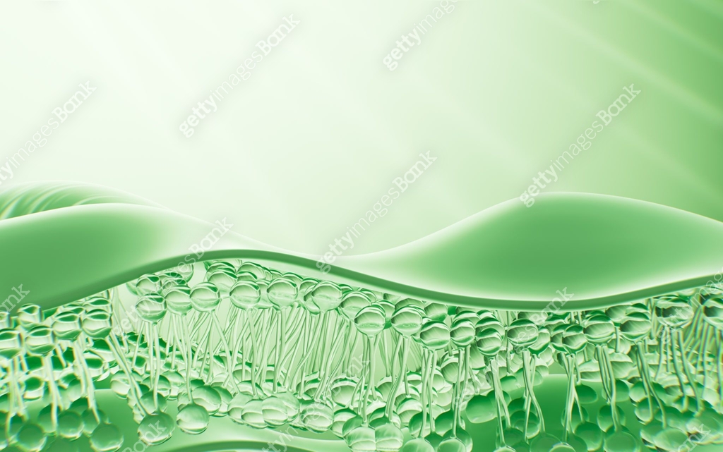 Abstract skin layer and cells, human skin tissue, 3d rendering. 이미지 ...