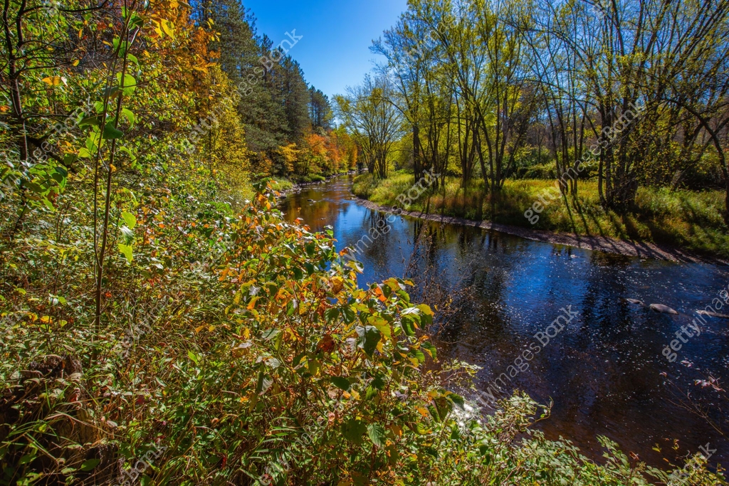 Wisconsin Rivers Early Spring Colorful Wisconsin forest with a river and a blue sky in early October ...