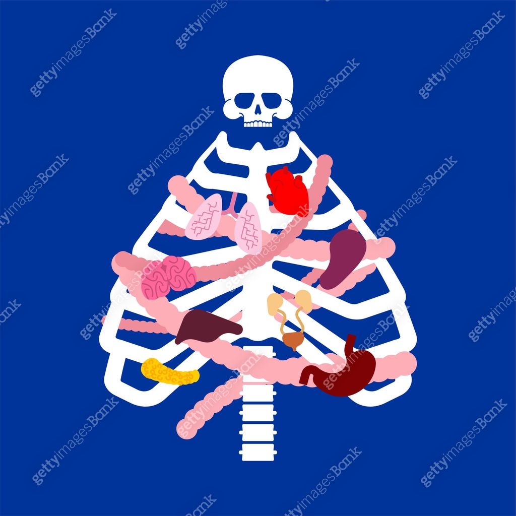 Christmas tree skeleton. ribcage christmas tree. Anatomical new year ...