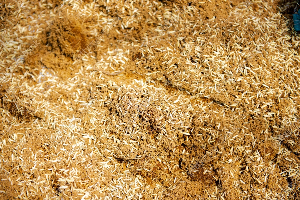 Rice husk or rice chaff outermost layer in potting mix with coconut ...