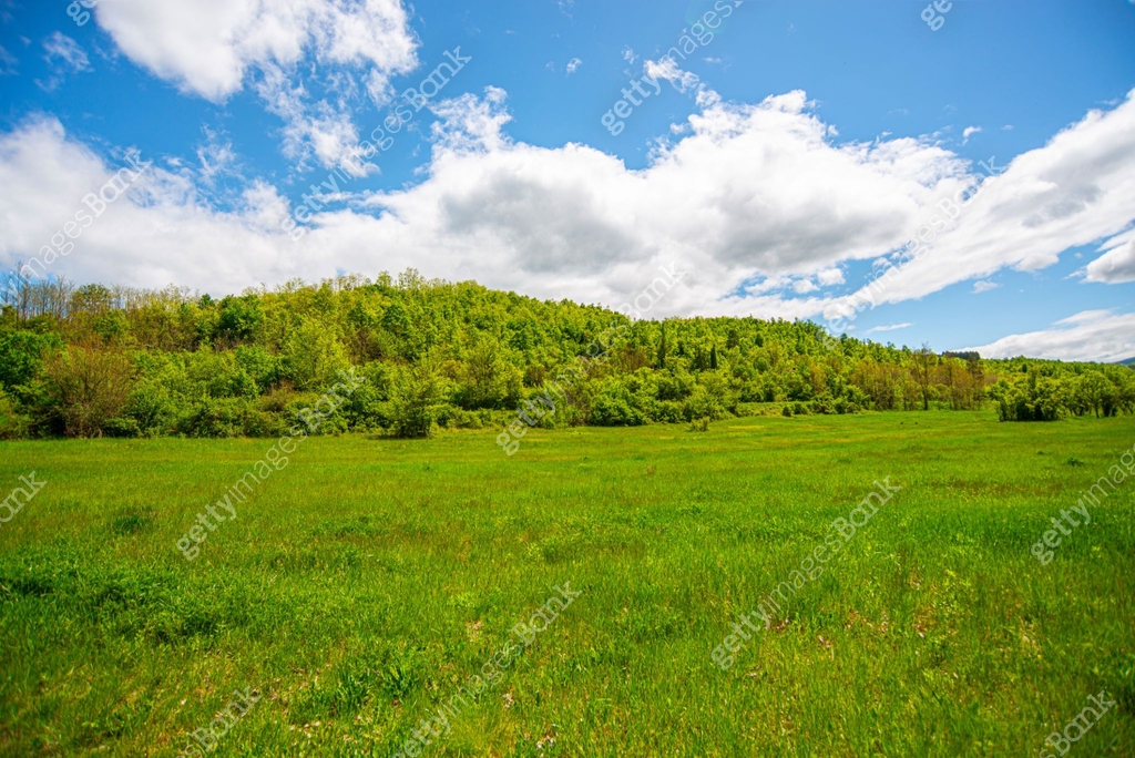 Beautiful spring green mountain landscapes, the awakening of nature 이미지 ...