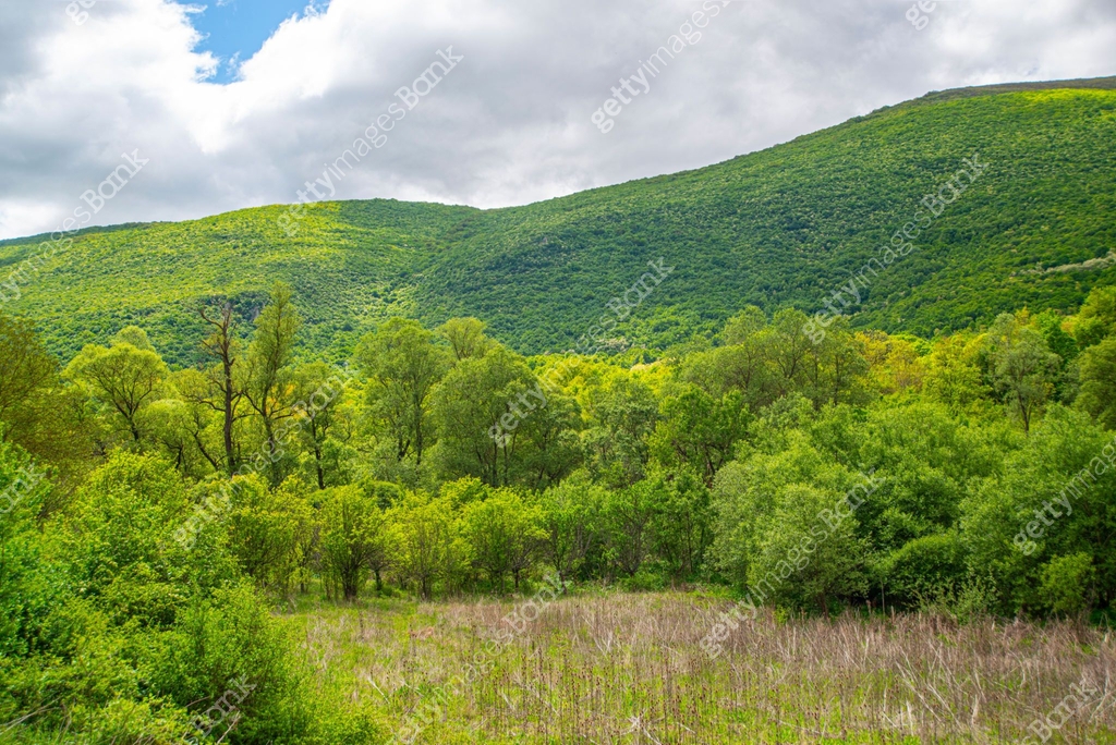 Beautiful spring green mountain landscapes, the awakening of nature 이미지 ...