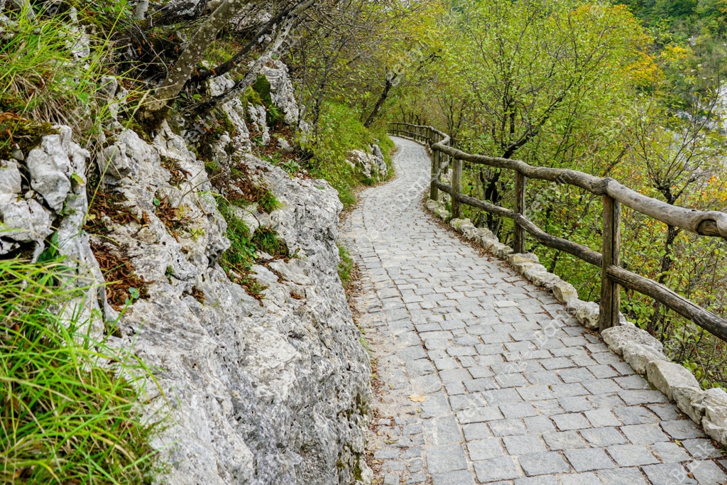 Paved hiking trail with wooden railings in a picturesque nature park ...