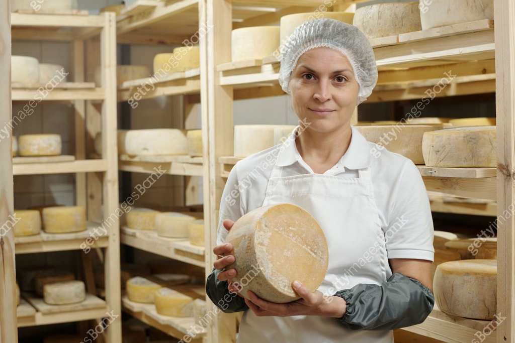 Portrait of Senior Cheese Maker Holding Cheese Wheel 이미지 (2195859317 ...