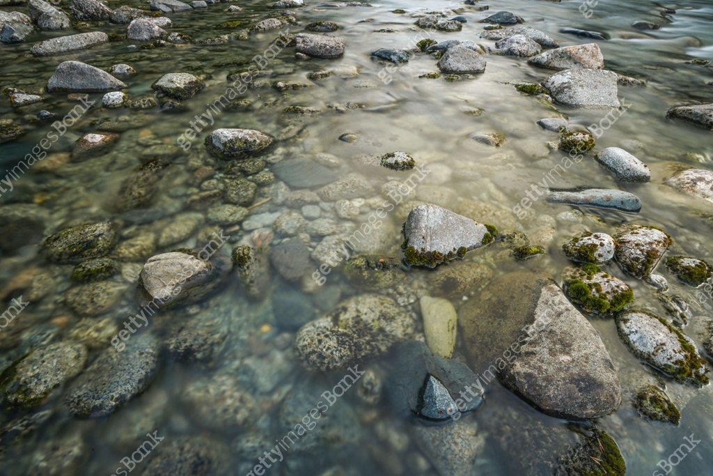 Shallow Stream With Rocks Clear Shallow Stream Water Flowing Over Mossy Rocks and Pebbles ...