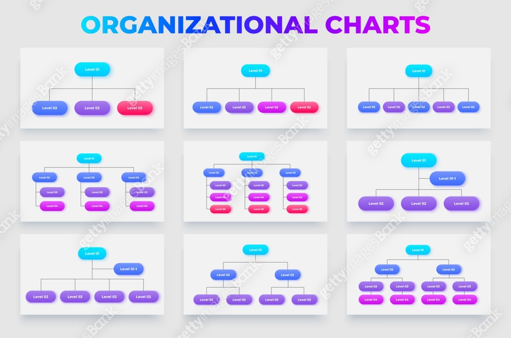 Collection of organizational chart designs showcasing various ...