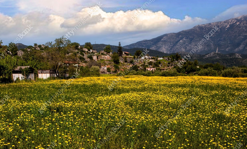 Spring April May SPRING The spring season experienced in April and May is the month when ...