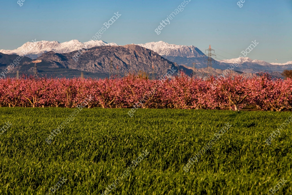Spring April May SPRING The spring season experienced in April and May is the month when ...
