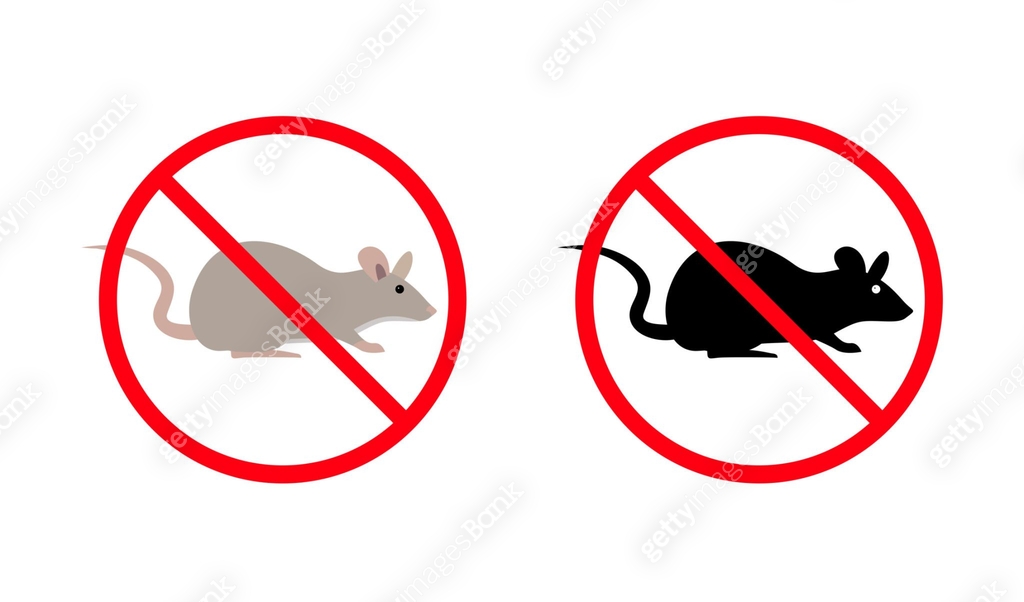 No rats allowed, rat control, deratization and disinfestation service ...