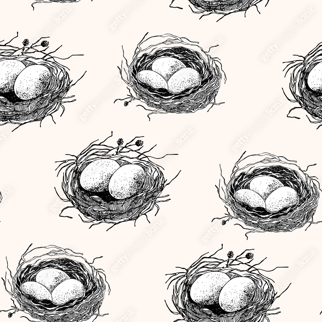 Spring seamless pattern with Bird nest with eggs. Easter hand drawn ...
