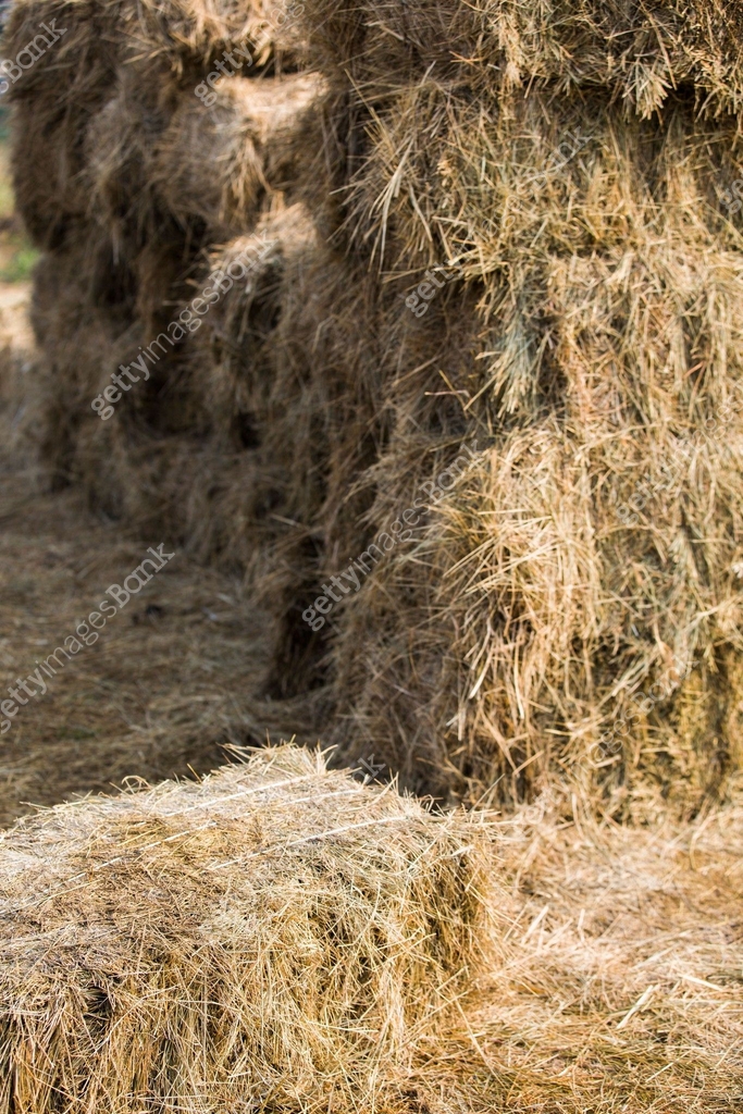 Farm Square Haystack Haystack at farm 이미지 (a11361801) - 게티이미지뱅크