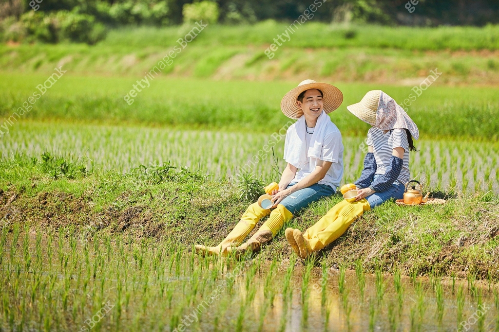 귀농, 시골풍경 (교외전경), 농부 (농촌직업), 농업 (주제), 벼, 시골풍경 이미지 (jv12028814) - 게티이미지뱅크