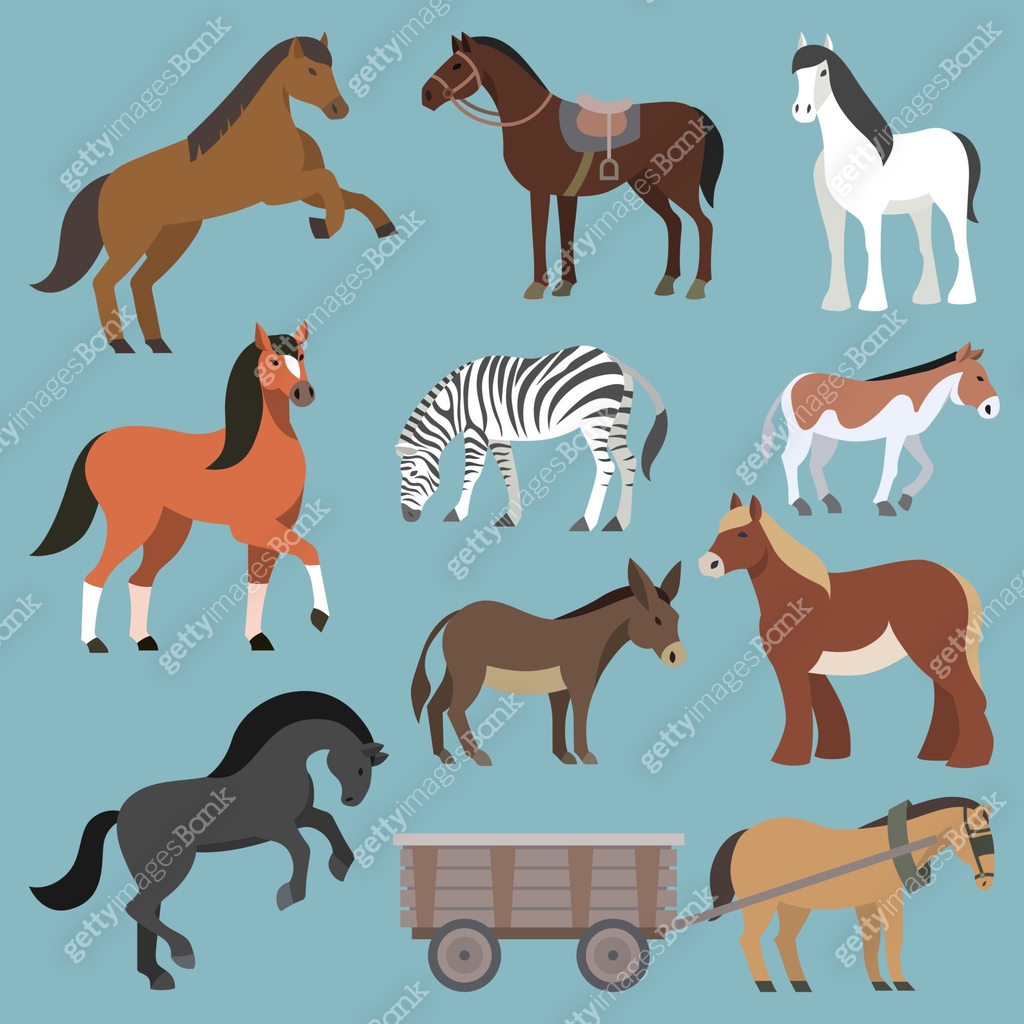 Horse vector animal of horse-breeding or equestrian and horsey or ...
