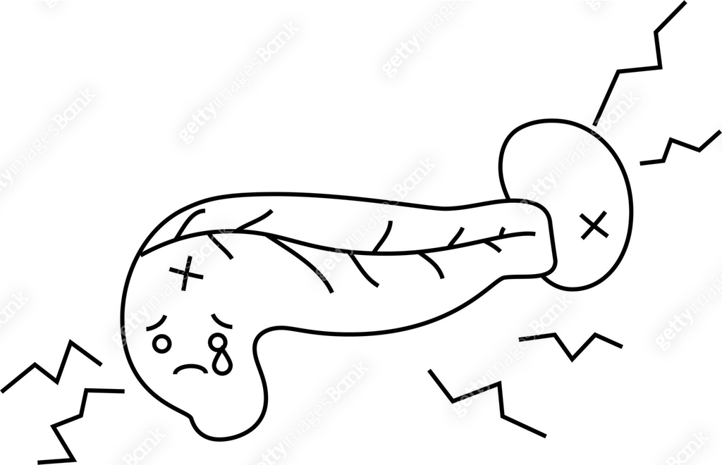 Illustration of a cute pancreas and spleen outline 이미지 (1148723285 ...