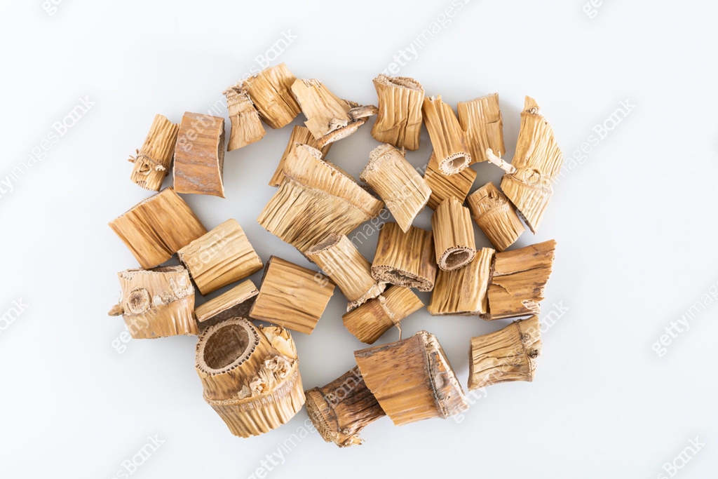 Chinese herbal medicine:Reed root 이미지 (1281636240) - 게티이미지뱅크