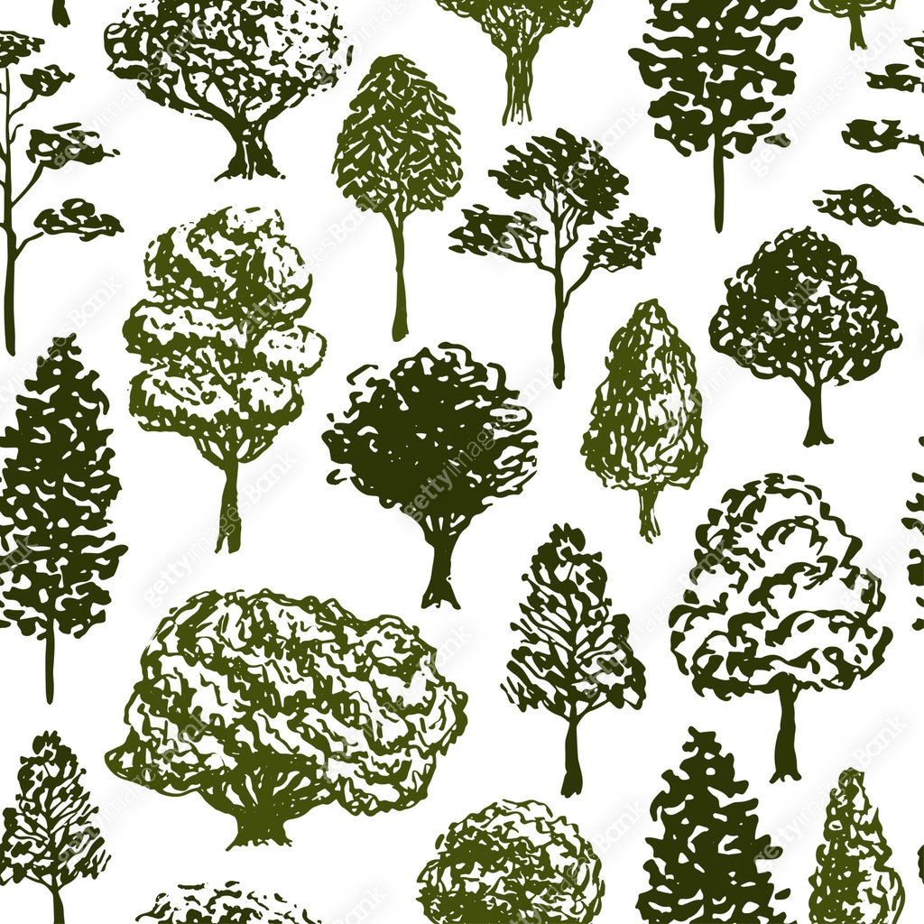Trees vector pattern. Sketch seamless tree pattern for textile or ...