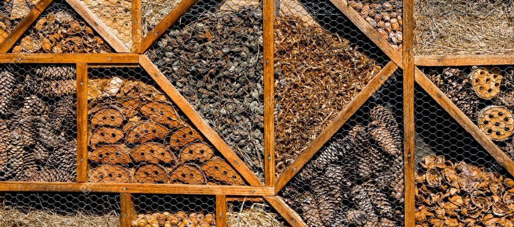 Insect Bank Insect Hotel With Compartments As Shelter For Animals To Improve ...