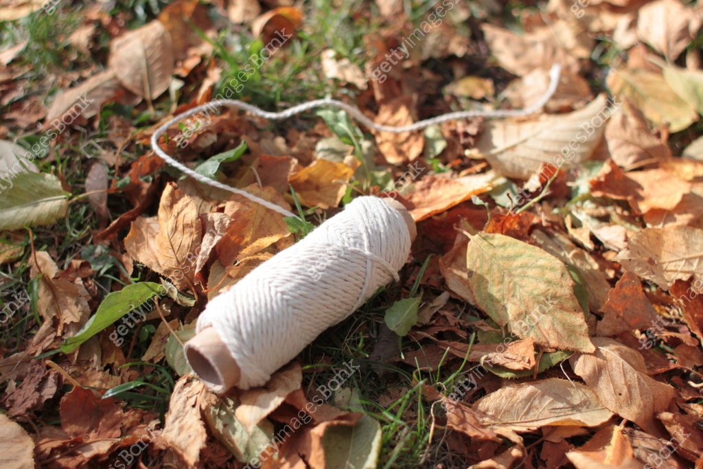 Threadin Skein of threadin on the yellow leaves 이미지 (1293751733) 일러스트, 무료 일러스트 ...