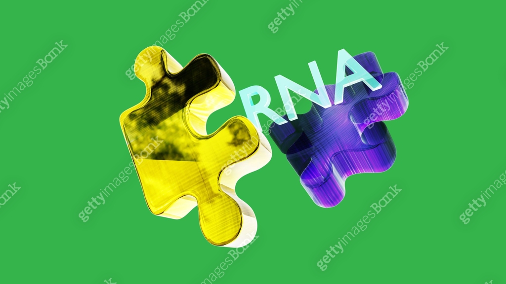 Genetically modified humanoid puzzle 이미지 (1300761407) 게티이미지뱅크 Genetically modified humanoid puzzle 이미지 (1300761407) 게티이미지뱅크