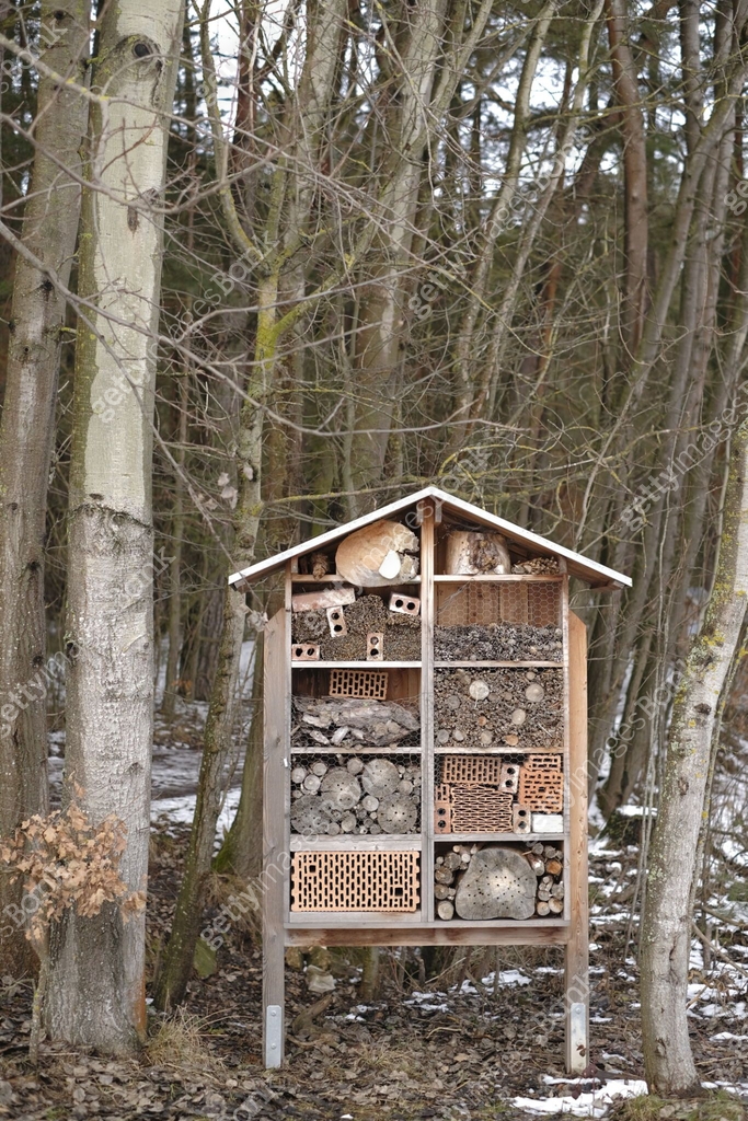 Insect Bank Insect House in the Forest.Ecology and nature conservation concept ...