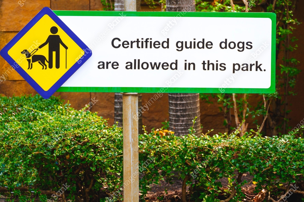 Certified guide dog sign for visually impaired on the old signpost in ...