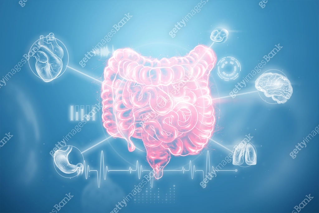 A holographic projection of a red irritable bowel scan with medical ...