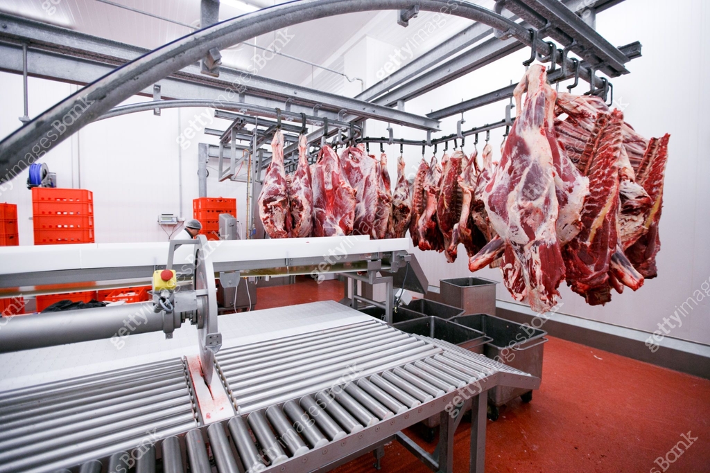 A lot of chopped raw meat hanging and arrange in a row ready for ...