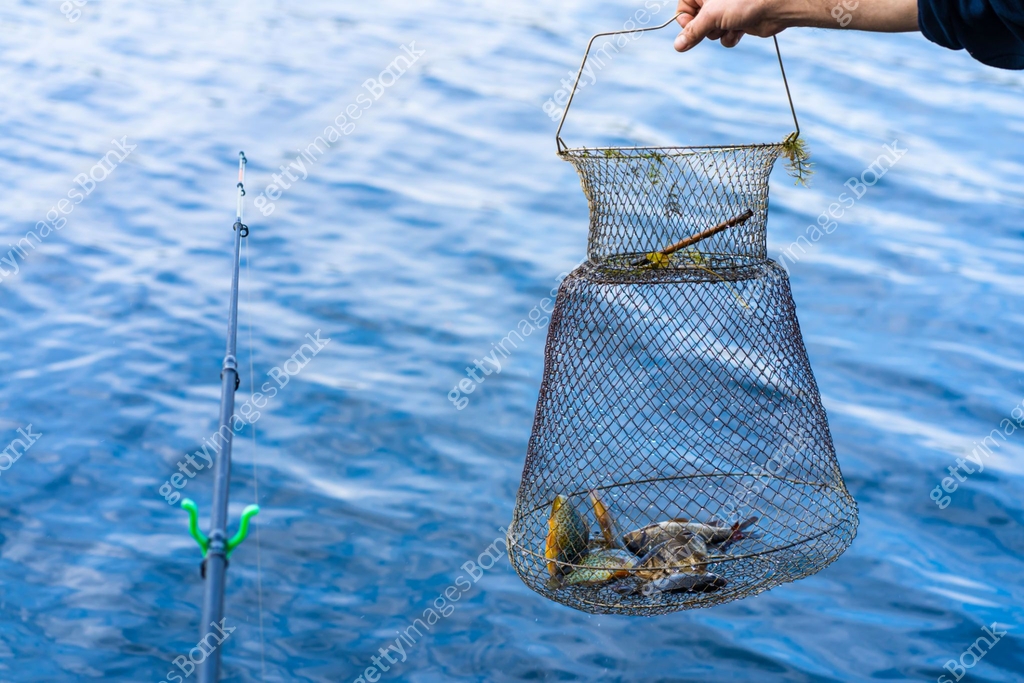 Fish catch in a net box. Fishing hobby and leisure. Silent hunting 이미지 ...