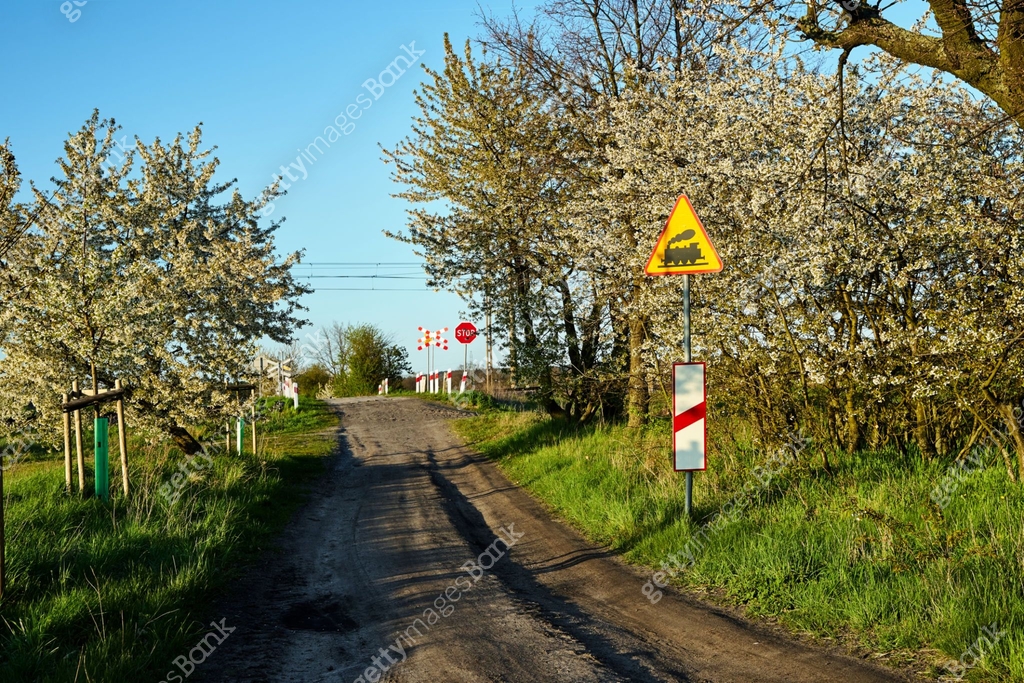Spring Road Sign Blooming fruit trees and road signs on a dirt road in spring 이미지 ...