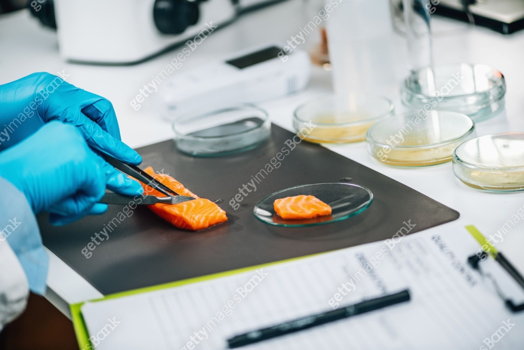 Food Safety and Quality Control - Testing Salmon Fish 이미지 (1317558425 ...
