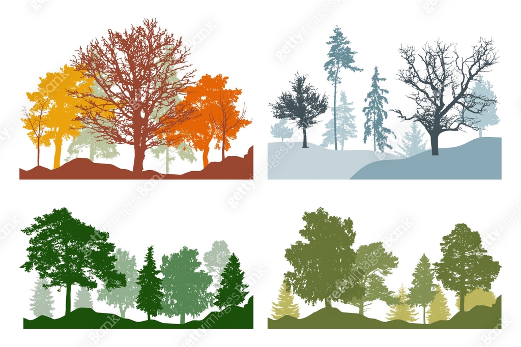 Silhouette of summer, autumn, winter, spring woodland, landscape. Four ...