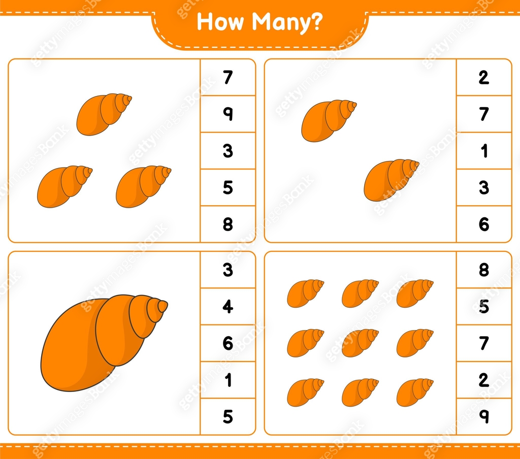 Shell Counting Bas Counting game, how many Sea Shells. Educational children game ...