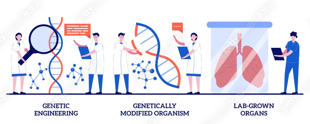 Bioengineered Organs Simple Genetic engineering, genetically modified organism, lab-grown organs ...