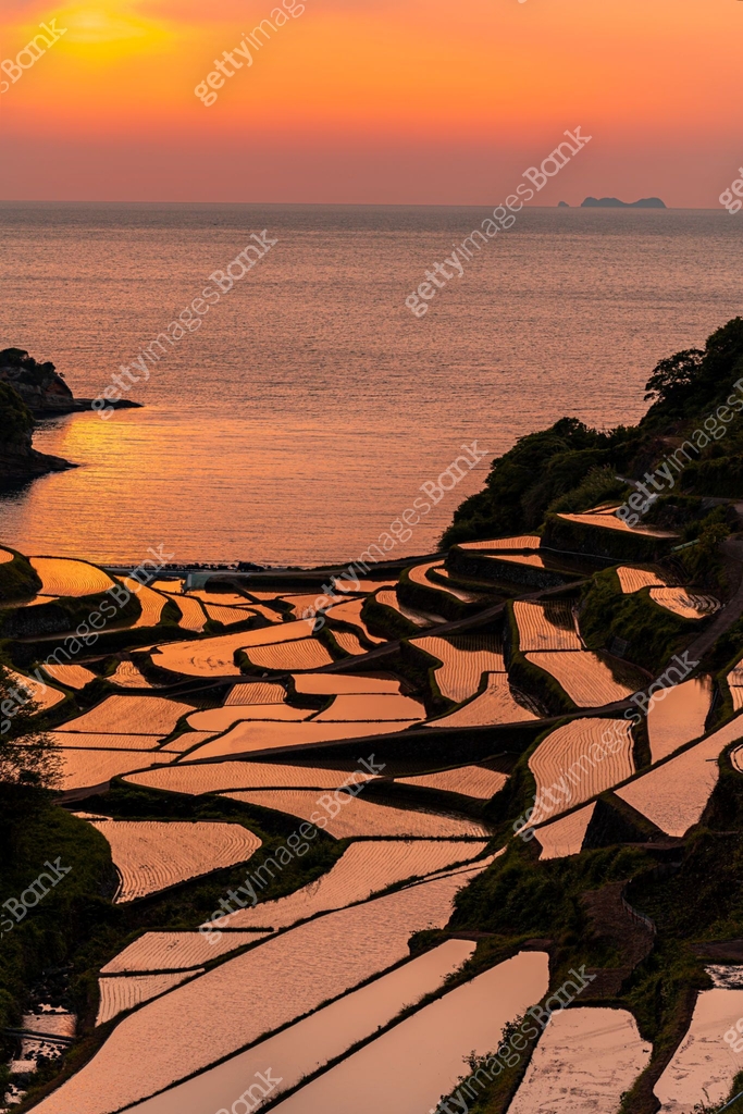 Hanamanoura Tanada, sunset on the rice field, kyushu, japan 이미지 ...