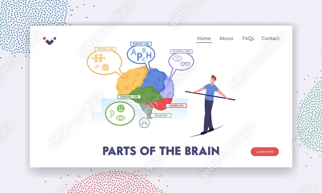 Parts of the Brain Landing Page Template. Tiny Male Character Balancing ...