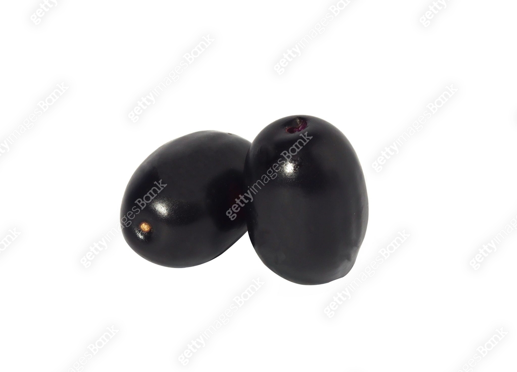 Jambolan plum, ripe fruit or fresh Java plum Bushy Dark purple plum ...