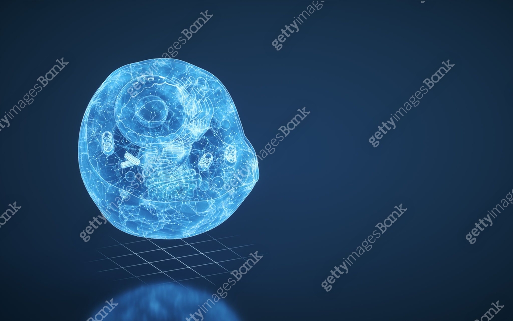 Cell Wall Computer Rendered Internal structure of an animal cell, 3d rendering. 이미지 (1350127309 ...