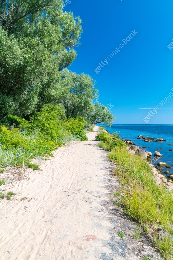 Baltic Tea Path Sandy path with trees to estuary Vistula River to the Baltic Sea at ...