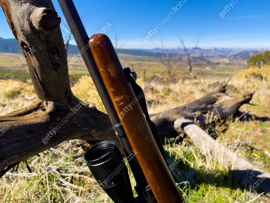 Rustic Nature Background Hunting Leaning Vintage Hunting Rifle and Scope Rustic Colorado Outdoors ...