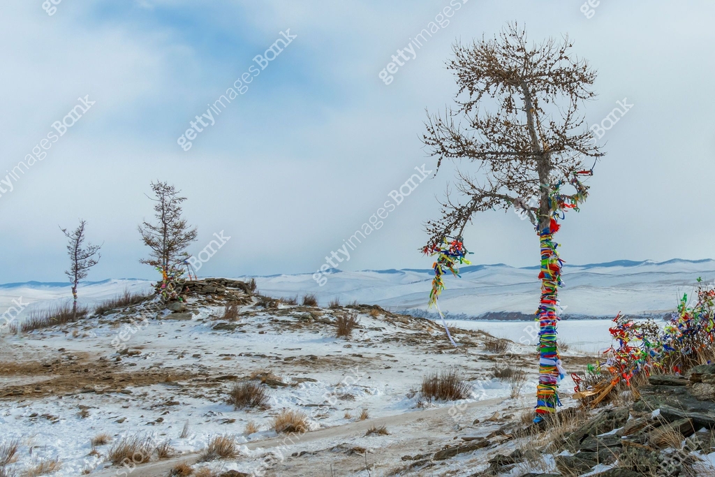 Three trees are decorated with colorful ribbons at the ritual site at ...