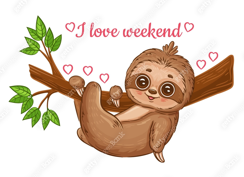 Cute lazy sloth hanging rest on branch tree. Funny tropical jungle baby ...