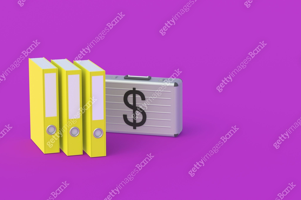 Bank Folder Examples Financial documentation. Banking information. Accounting Report. Credit ...