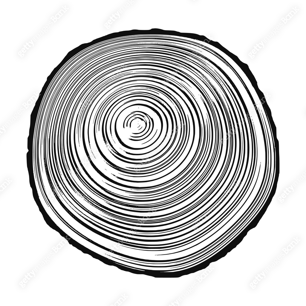 Log Pattern Draw Log cut, vector illustration, tree rings pattern 이미지 (1386098389) 일러스트 ...