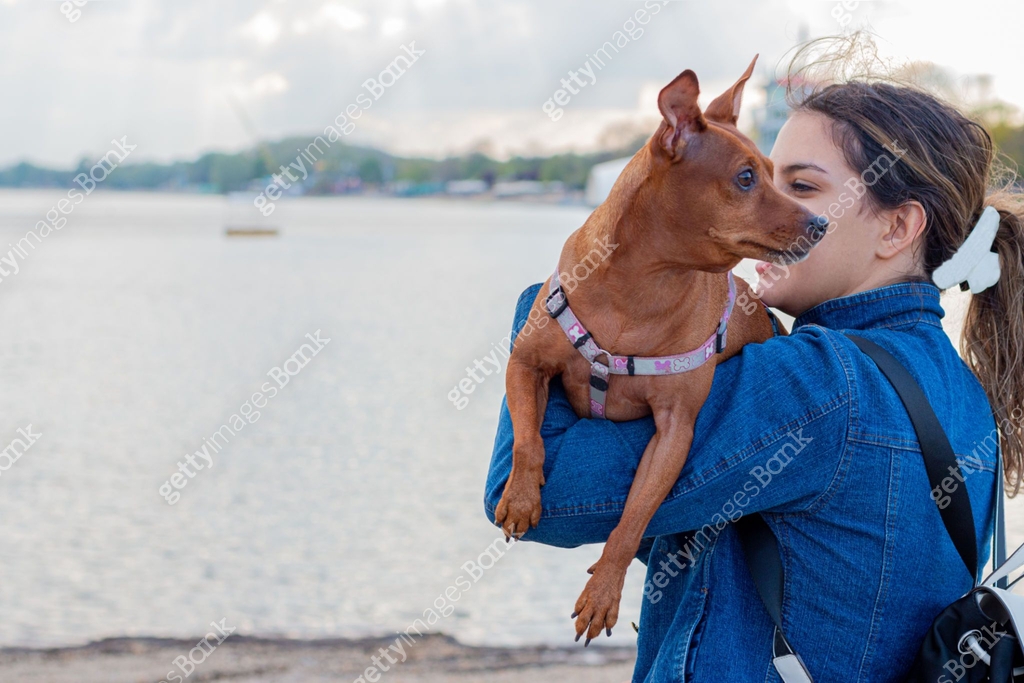 Hugging A Pin Young girl hugging her cute miniature pinscher by the lake. 이미지 ...